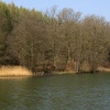 Cannop Ponds, near Coleford, Gloucestershire