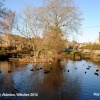 The Village Pond, Alderton, Wiltshire 2014