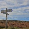 Dartmoor – Sign Post