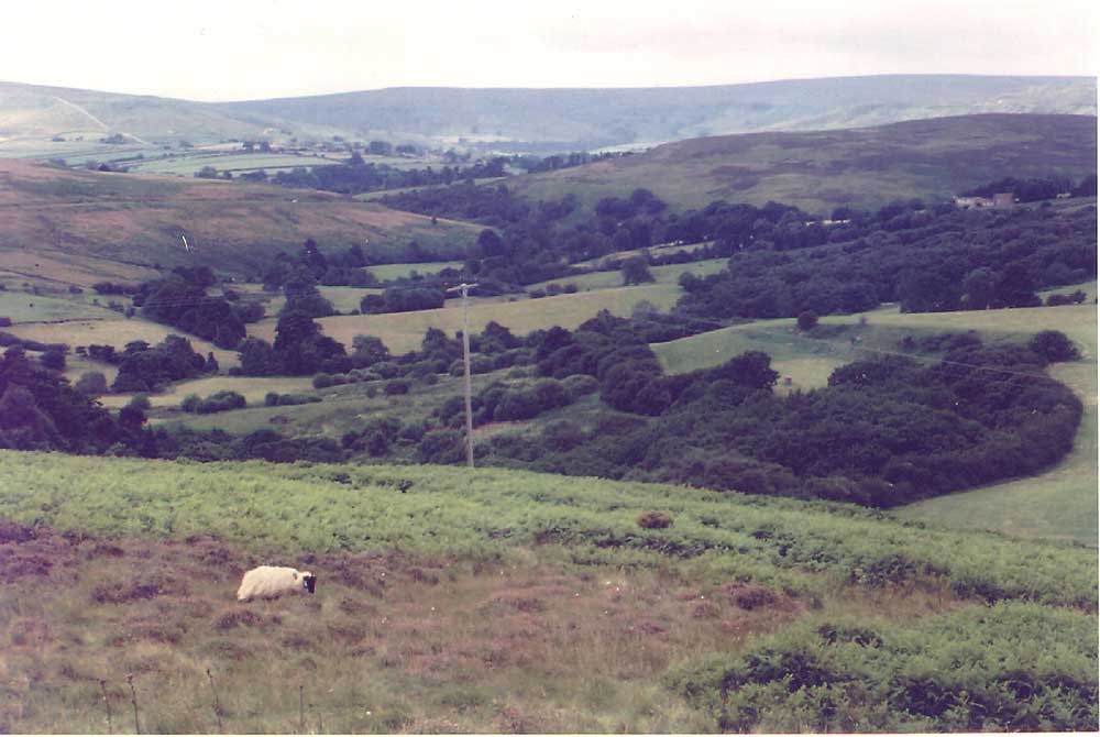North Yorkshire Moors