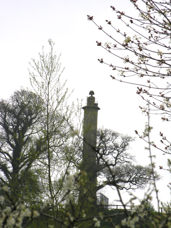 Monument at Wick Hill, Chippenham, Wiltshire. Spring 2005
