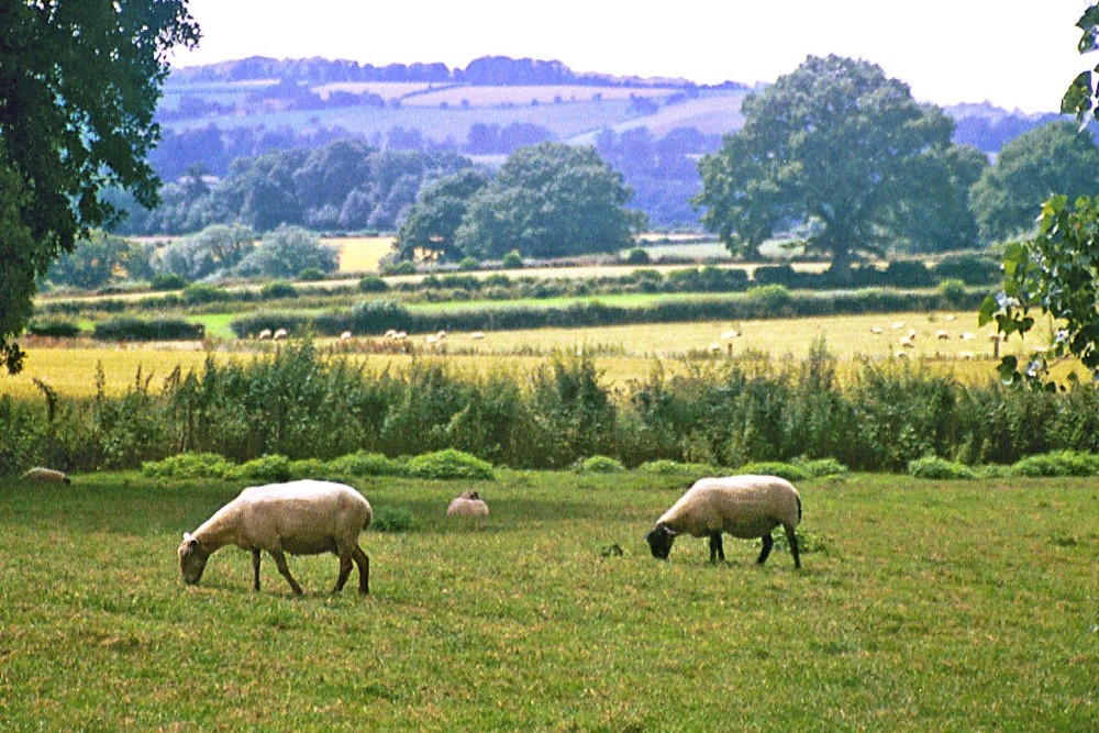 Cotswolds countryside scene