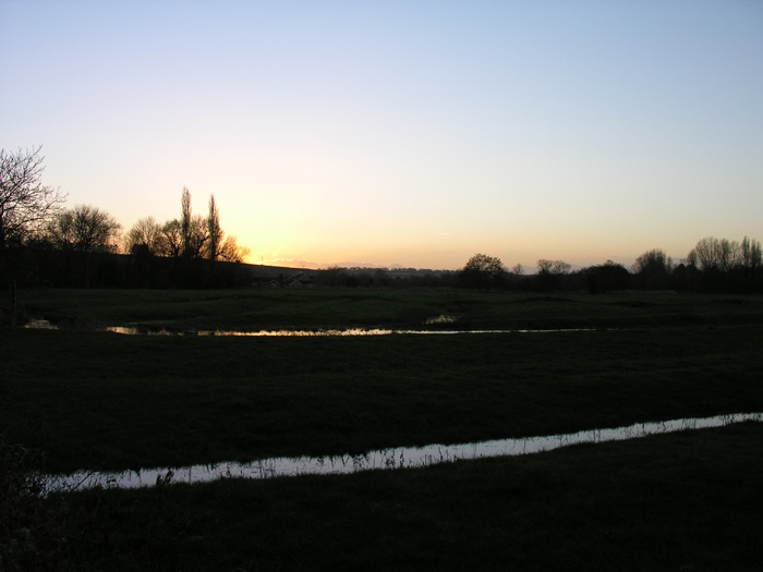 Avon Valley Nature Reserve, Salisbury, Wiltshire. January 2005