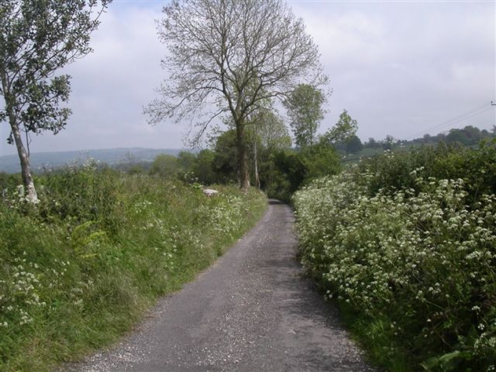 Rural country lane. Somerset, England