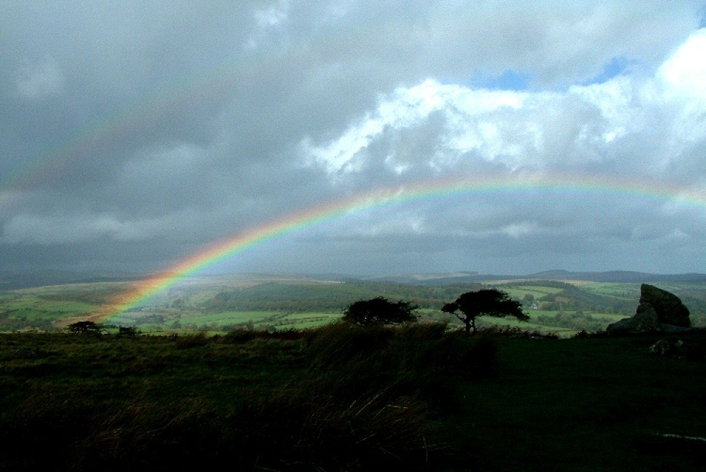 A picture of Dartmoor National Park