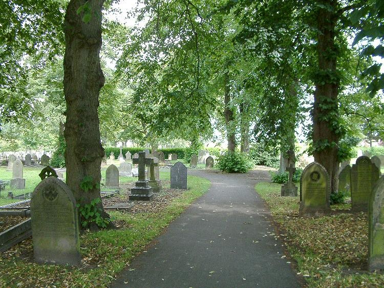 Tree lined path, Newport Cemetery, Lincoln.