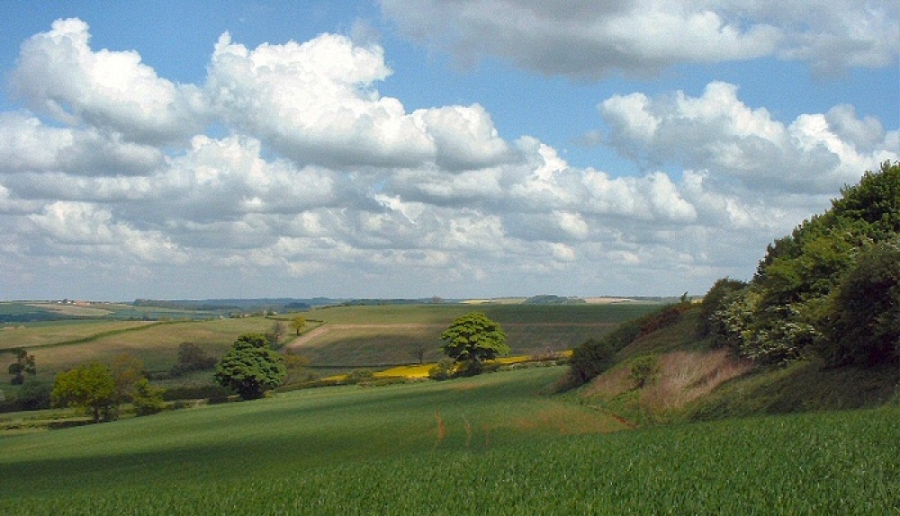 Lincolnshire Wolds, Nr Fulletby.