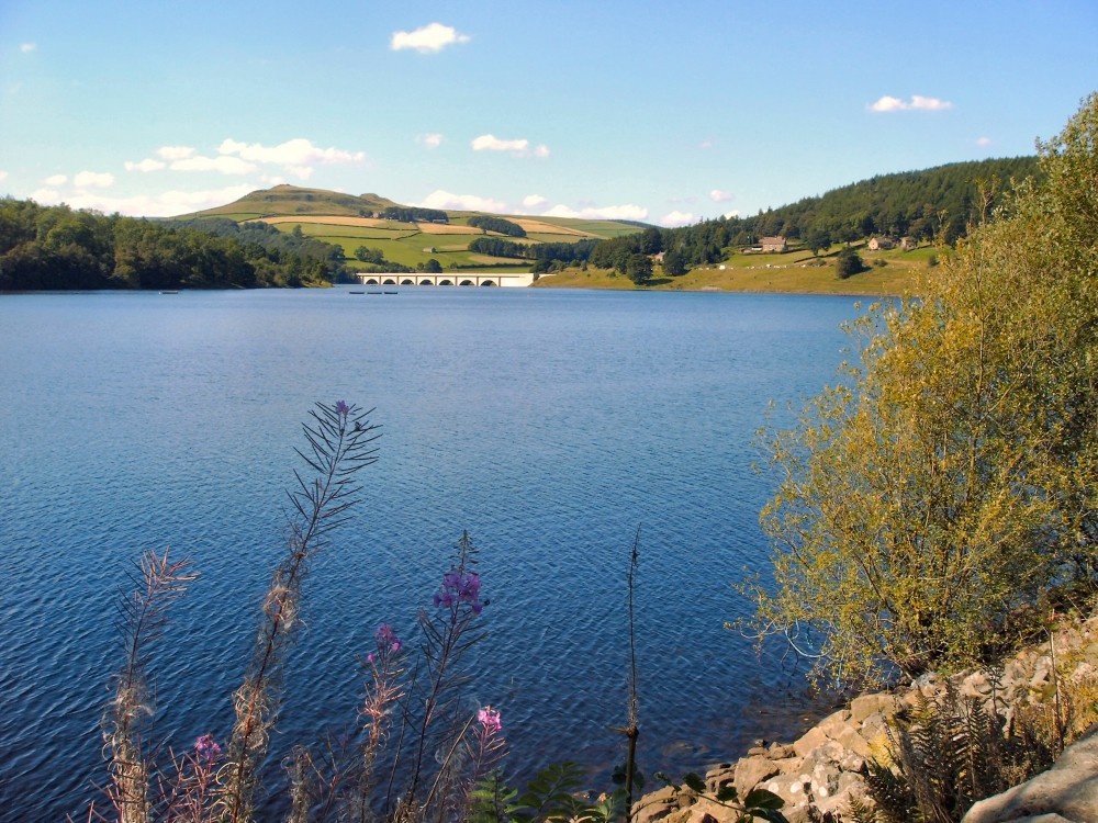 Looking across the reservoir towards Snakepass bridge