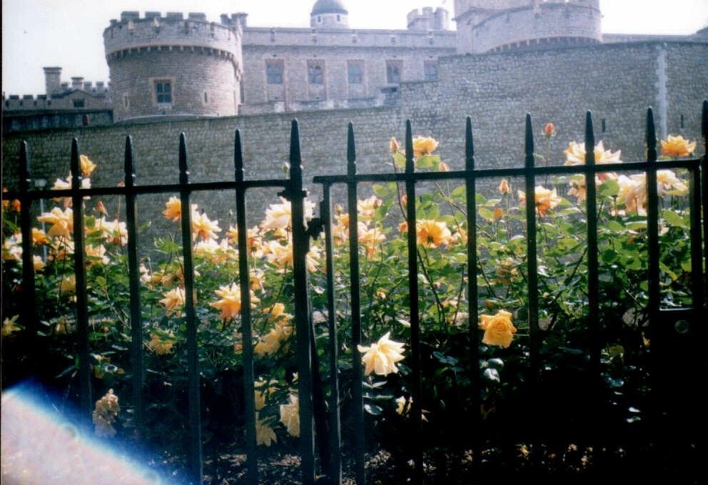 London - Tower of London, May 1998