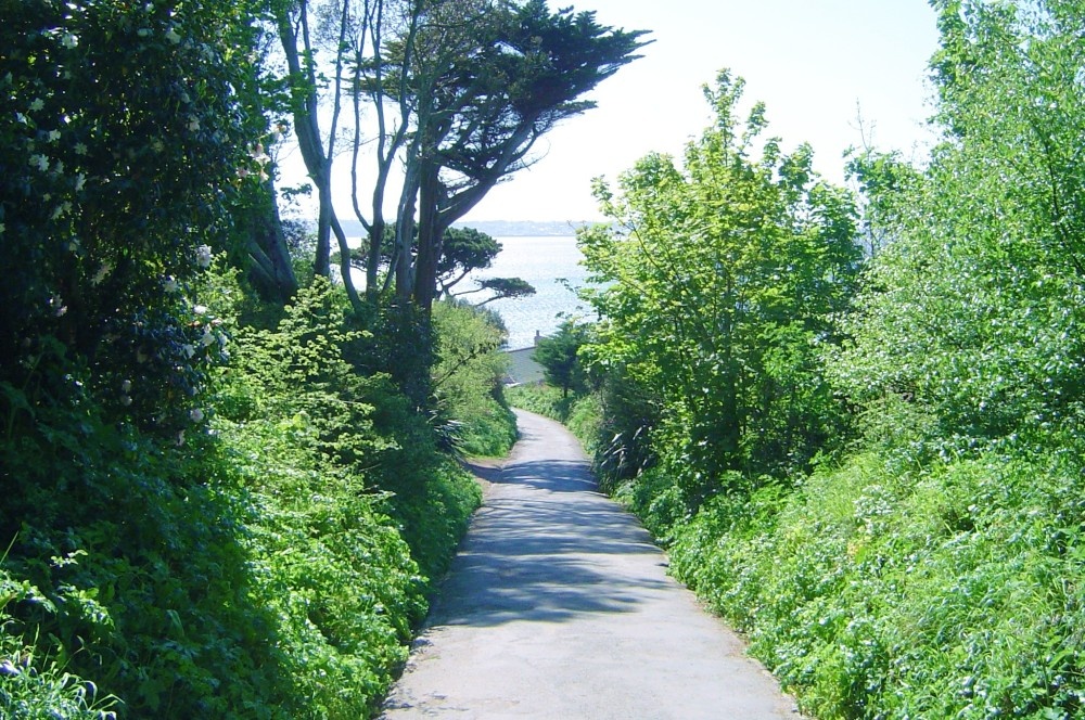A woodland path on Herm, one of the smaller Channel Islands