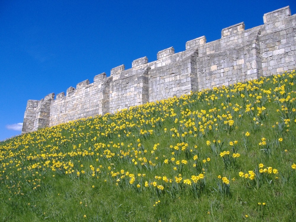 York City Walls in Spring.