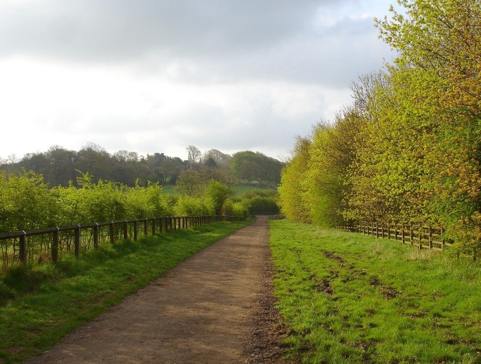A bridleway in Shipley Country Park, Derbyshire - looking towards Shipley Hill