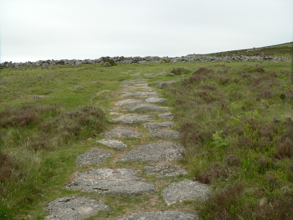 Ancient path leading to Grimspound Bronze Age village on Dartmoor