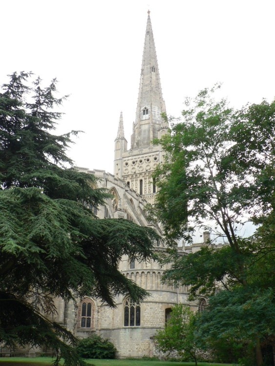 The spire of Norwich Cathedral from the cathedral close
