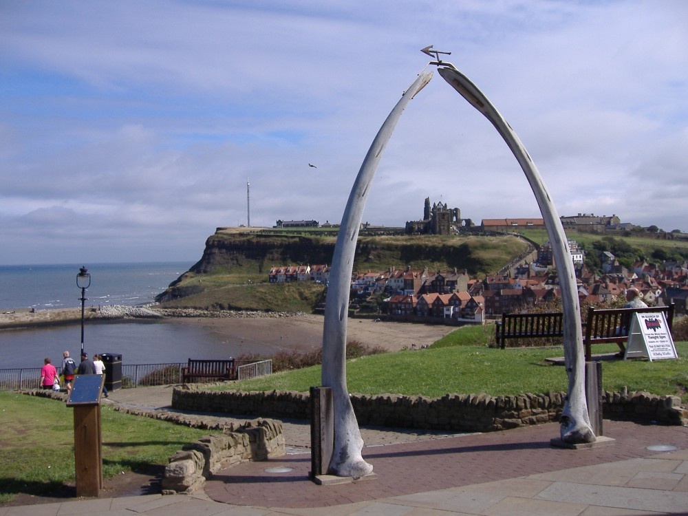 Whitby Whale Bones, August 2006