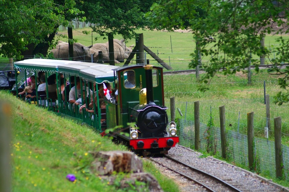 This train takes you around the park, Marwell Zoo, Hampshire
