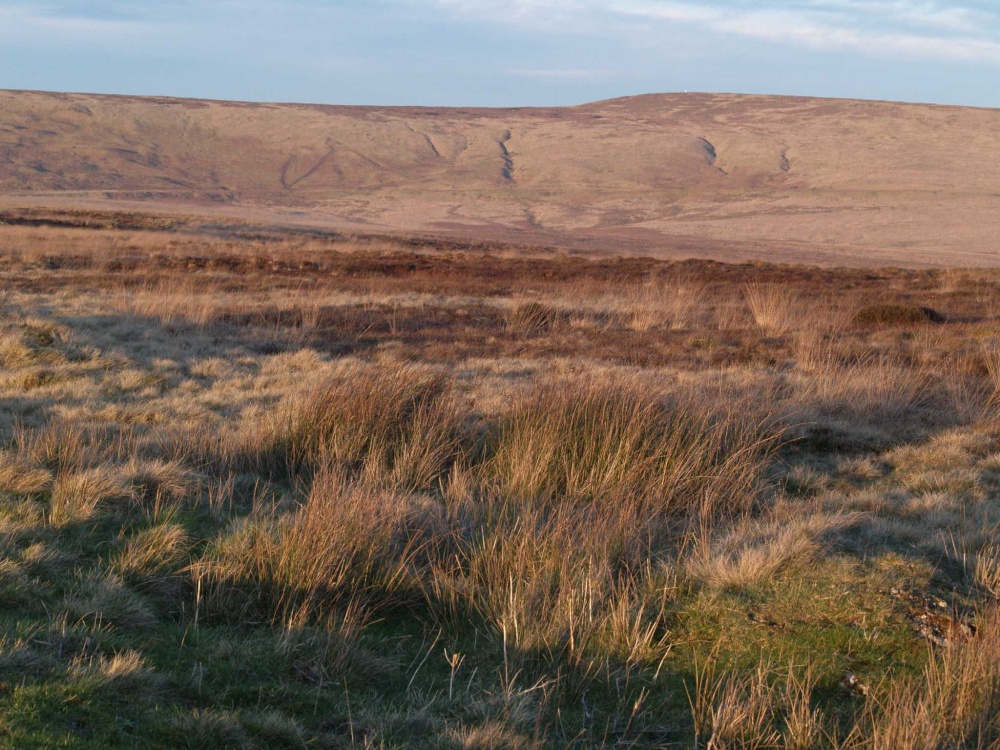 Low sunlight on Saddleworth Moor, Mossley, Greater Manchester.