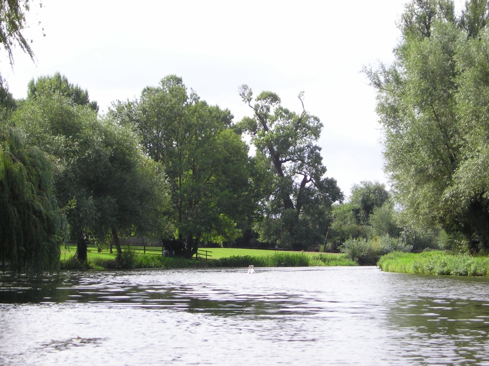 River Cam at Fen Ditton