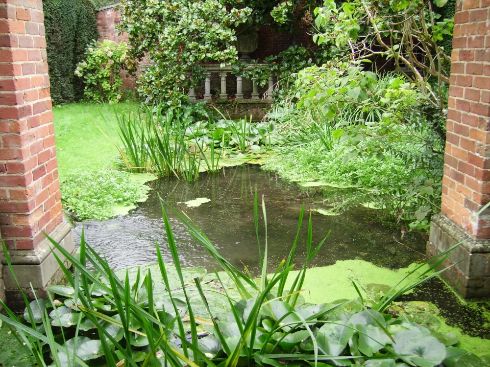 Pond in Winchester, Hampshire