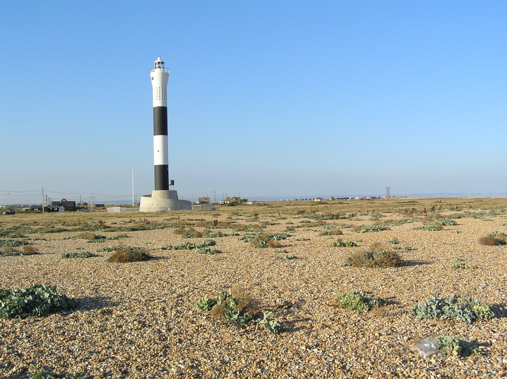 A picture of Dungeness