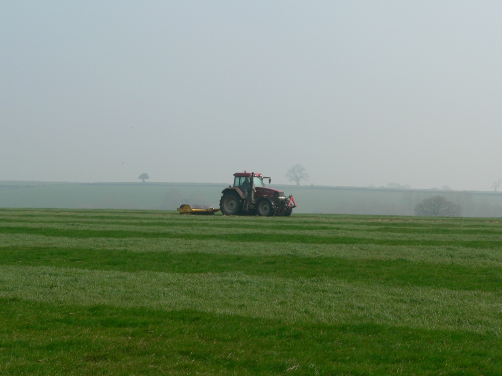 rolling a field in rural Somerset
