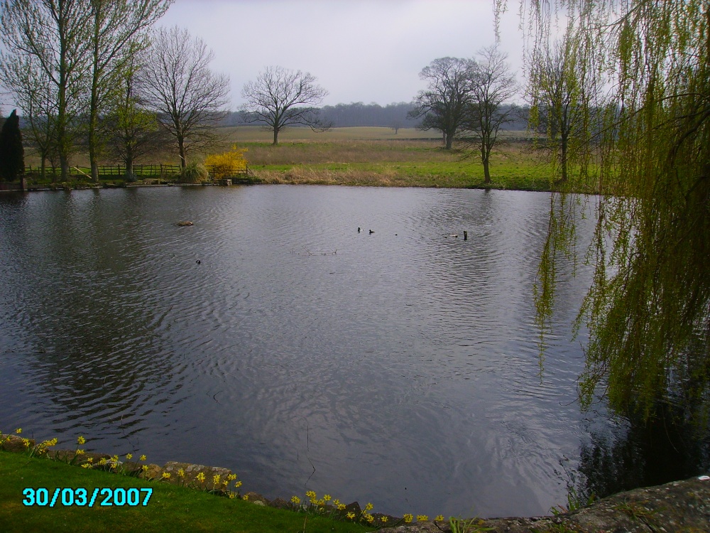 Small pond on Old Mill Lane in Cuckney in Notts.