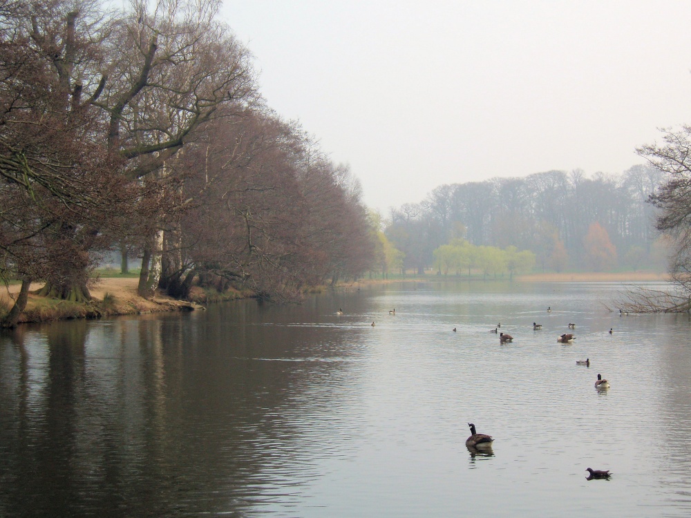 The Lake at Wollaton Park in Nottingham