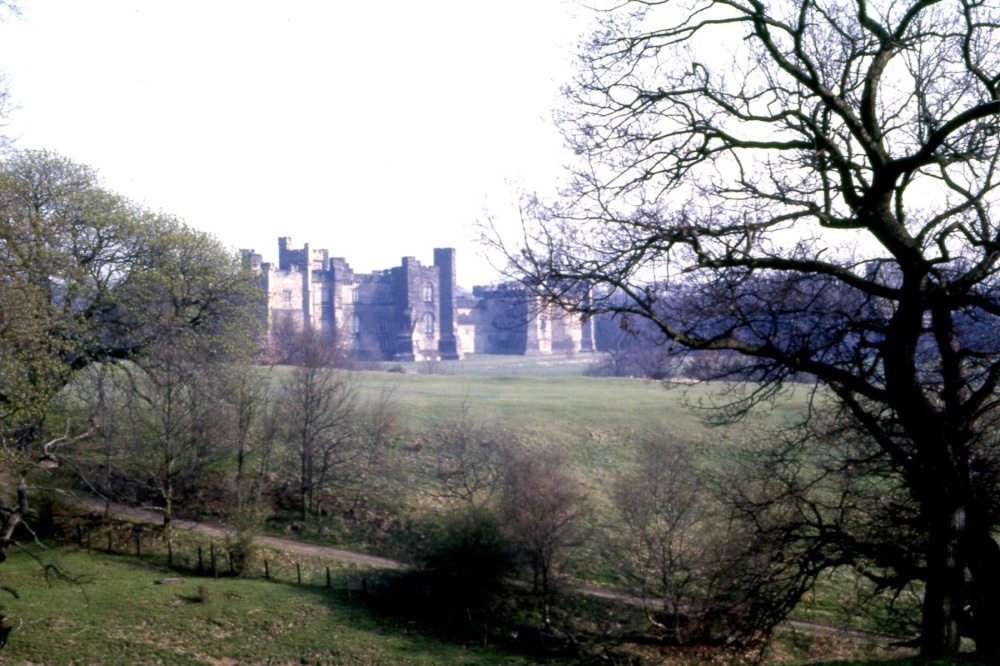 'Between the Trees' - Brancepeth Castle, County Durham