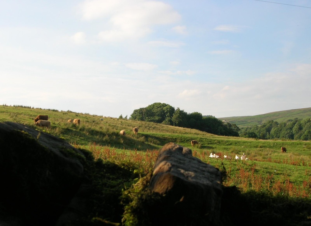 Alston Moor, Alston, Cumbria
