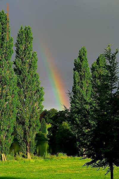 Blenheim Rainbow