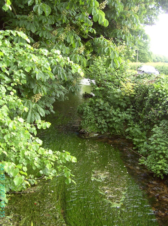 The Stream, Nether Langwith, Derbyshire