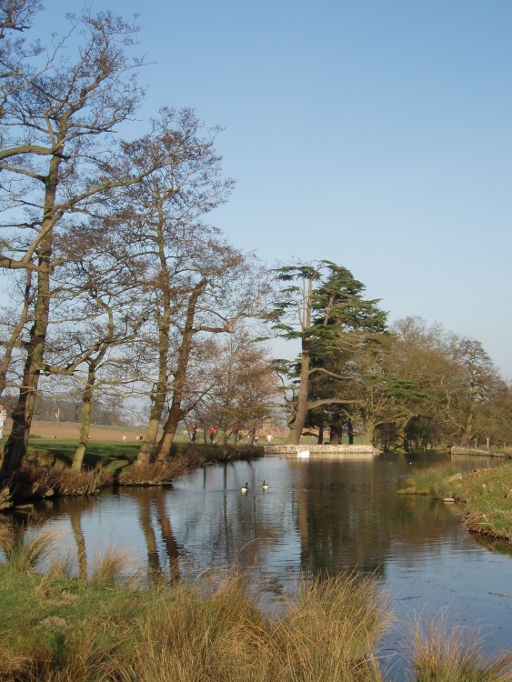 Bradgate Park Waters, Leicester