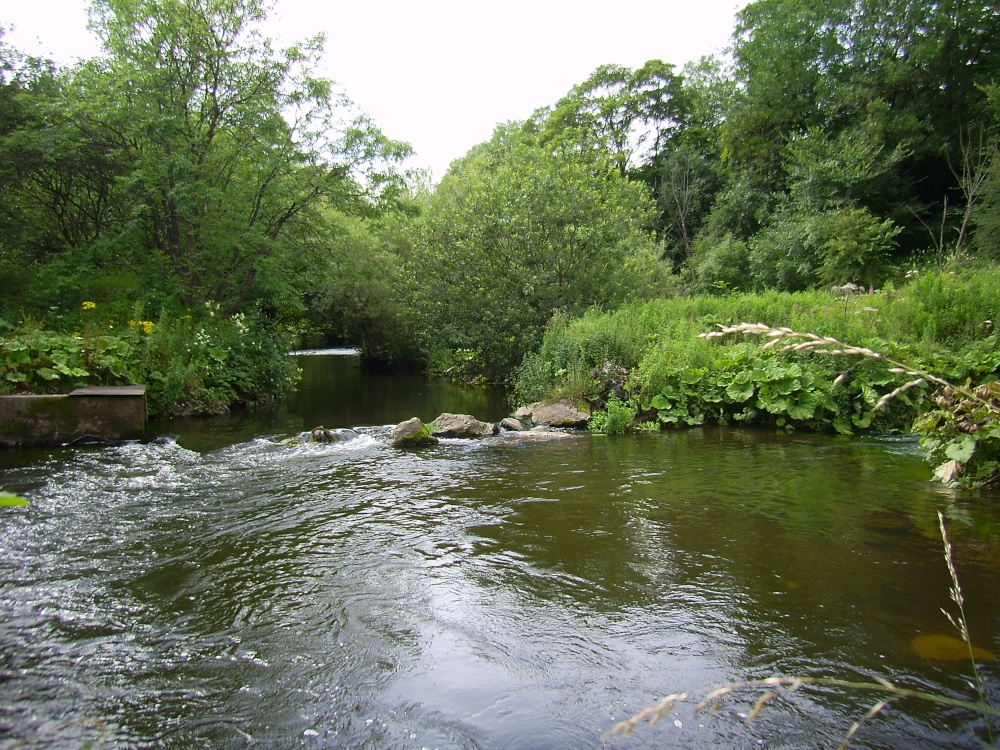 The River Wye, Miller's Dale, Derbyshire
