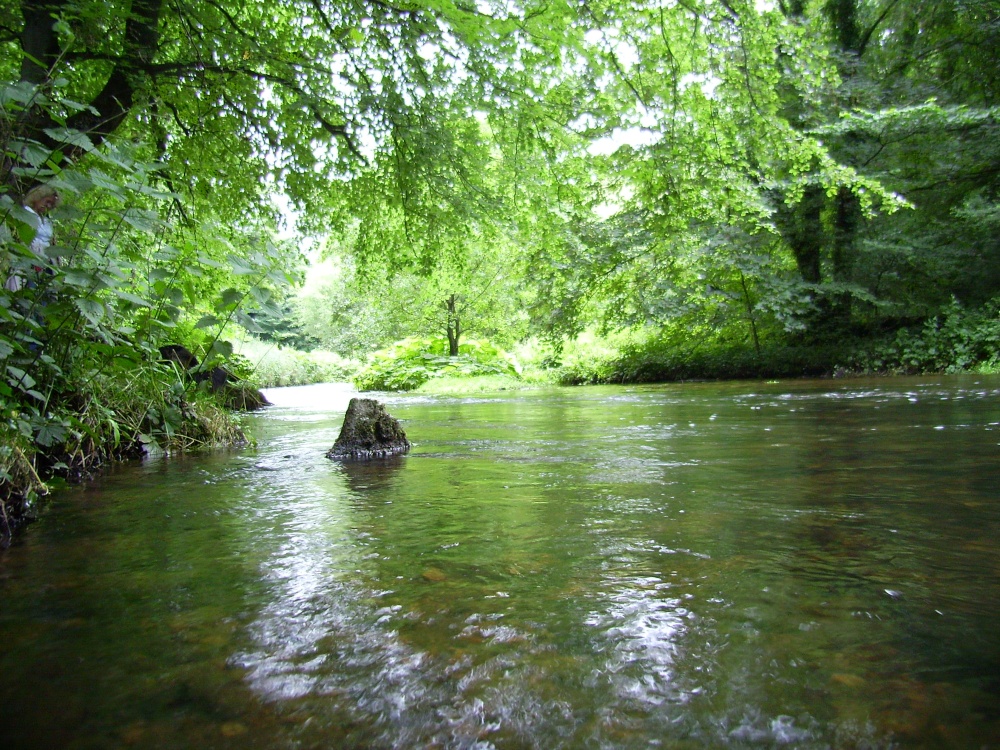 The River Wye at Chee Dale in the Peak District
