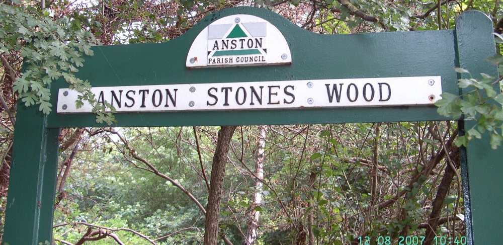 Anston woods, North Anston, South Yorkshire