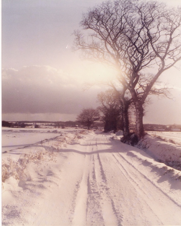 Snow scene at Corton, Suffolk