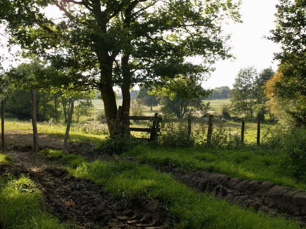 Farmland near How Green, Kent