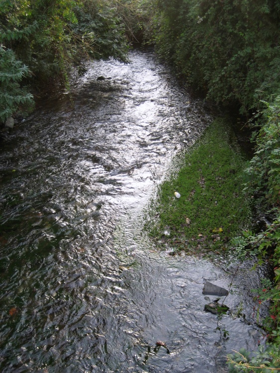 Small stream flowing through Braunton, Devon