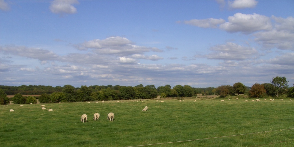 Farming at Thorpe Salvin, South Yorkshire