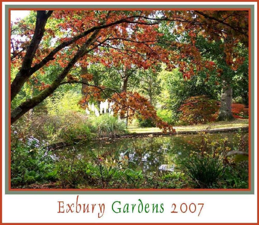 Autumn in Exbury Gardens, Hampshire