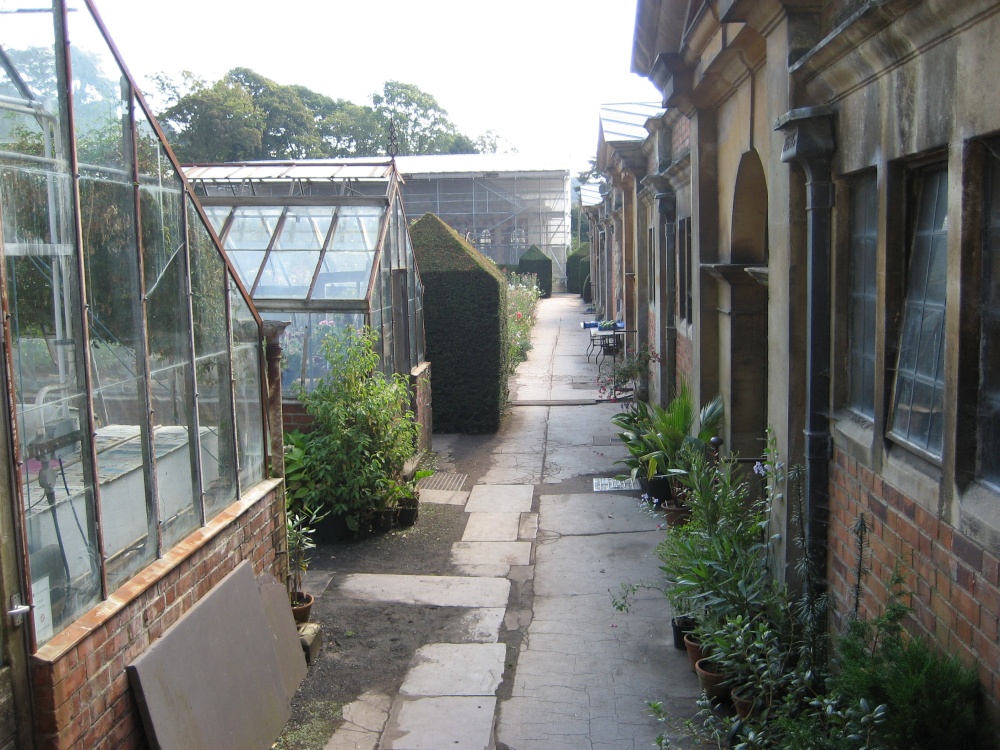 Greenhouses at Tyntesfield, Wraxall, Somerset
