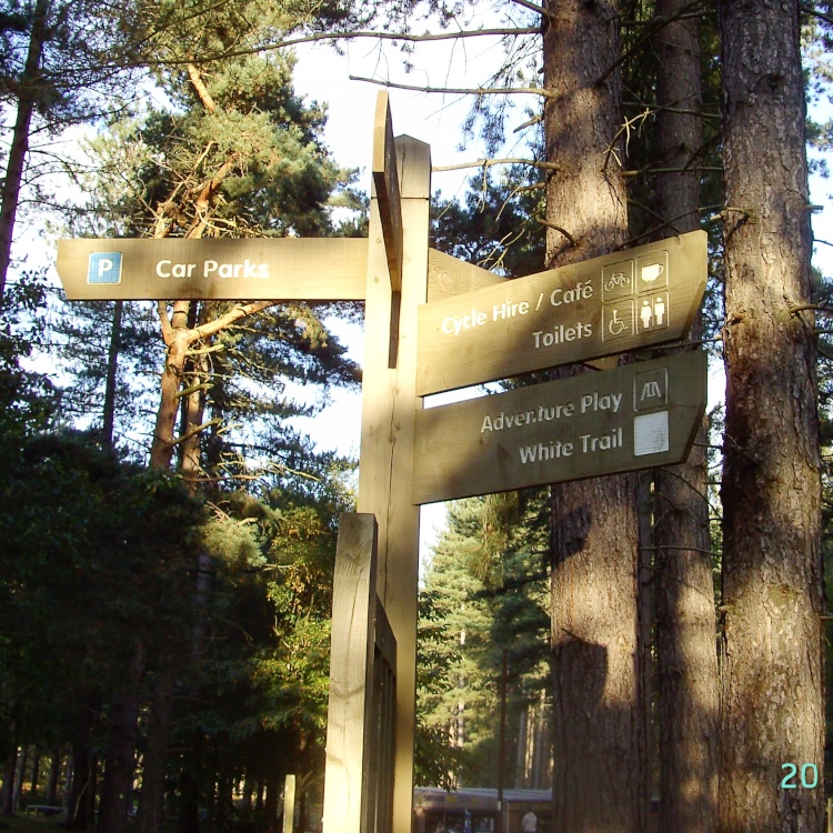 Sherwood Pines Forest Park