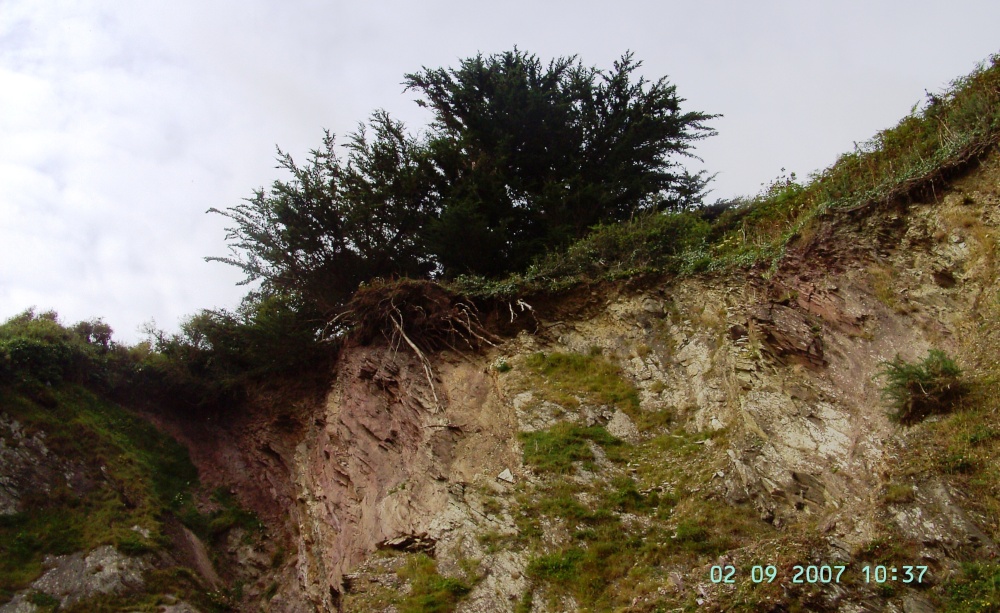 Cliffs, Talland, Cornwall