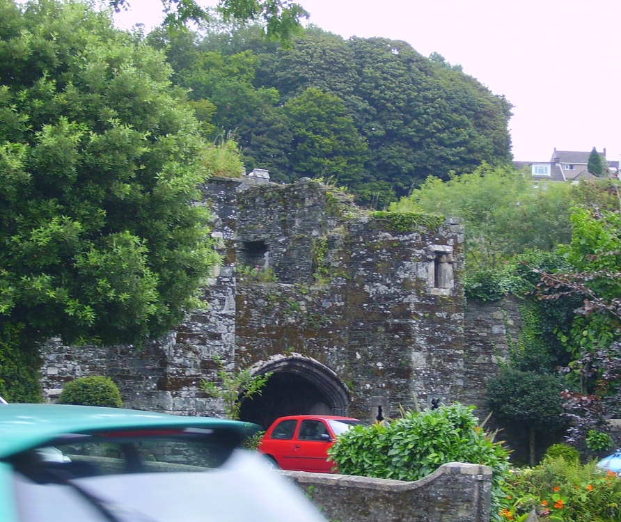 Abbey Ruins, Tavistock