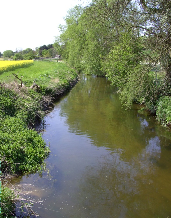 River Meden, Bothamsall, Nottinghamshire