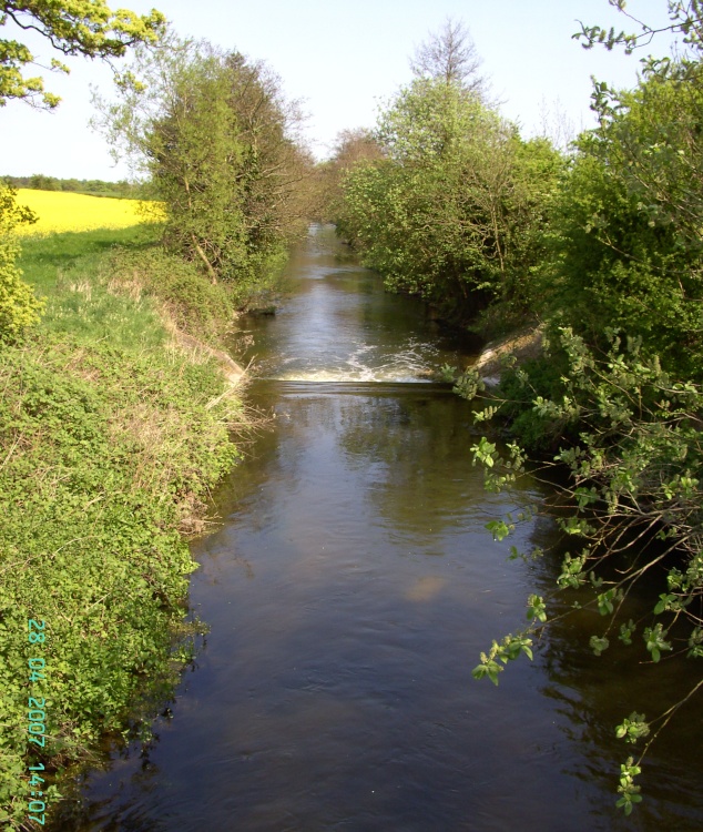River Meden, Bothamsall, Nottinghamshire