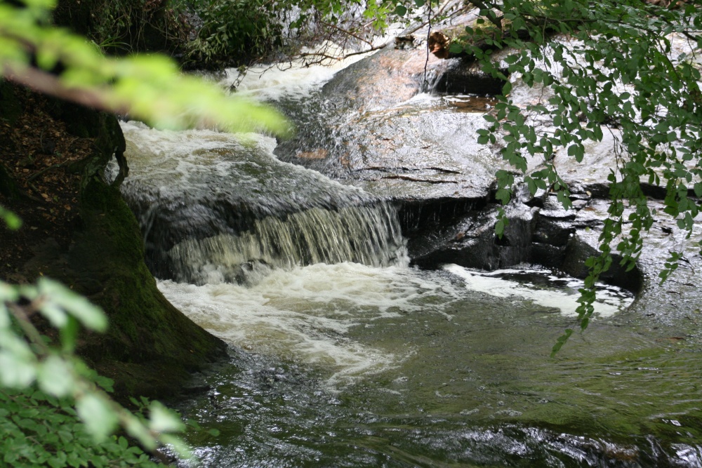 Waterfall at Mill Wood, Hurst Green.