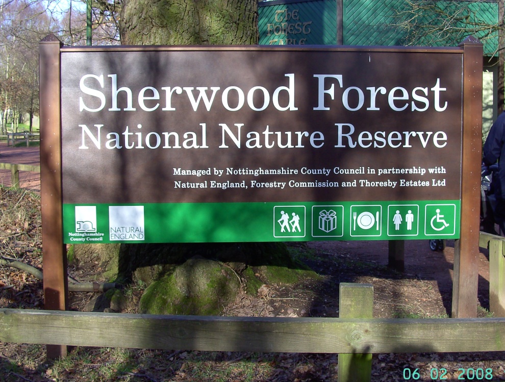 Sherwood Forest, Mansfield, Nottinghamshire