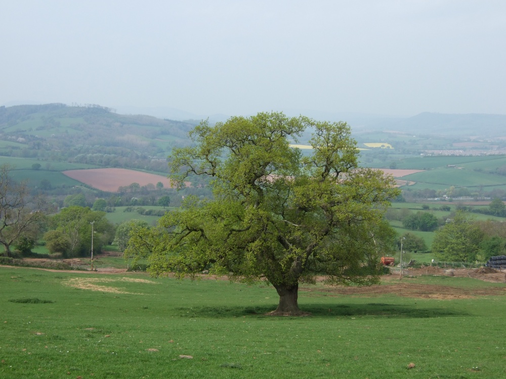 The Wye Valley south of Monmouth, Monmouthshire