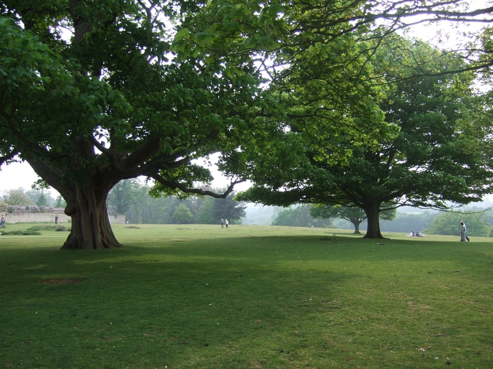 The Park at Knole, Sevenoaks, Kent